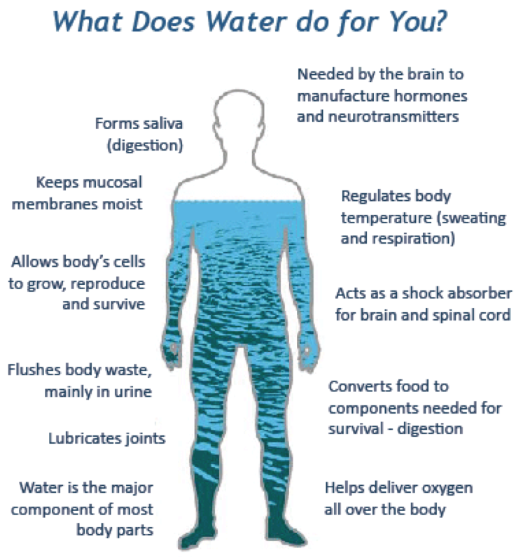 What does water do for you (Source: USGS)